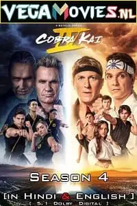 cobra kai netflix original 2021 , TheMoviesFlix - TheMoviesFlix.Digital