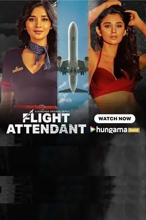 flight attendant 2024 , TheMoviesFlix - TheMoviesFlix.Digital
