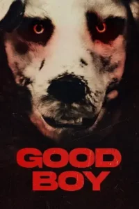 good boy 2022 , TheMoviesFlix - TheMoviesFlix.Digital