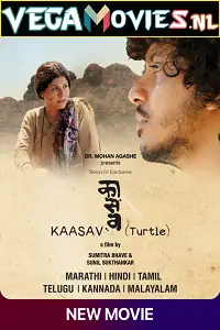 kaasav turtle 2017 , TheMoviesFlix - TheMoviesFlix.Digital