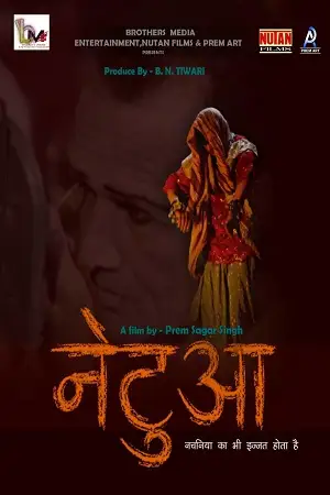 netua 2020 , TheMoviesFlix - TheMoviesFlix.Digital