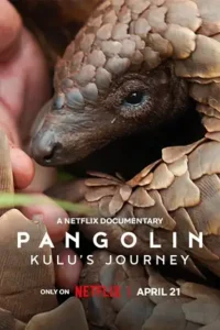 pangolin kulu s journey 2025 , TheMoviesFlix - TheMoviesFlix.work
