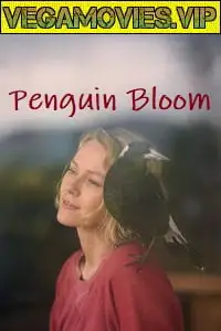 penguin bloom 2020 , TheMoviesFlix - TheMoviesFlix.Digital