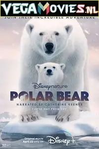 polar bear 2022 , TheMoviesFlix - TheMoviesFlix.Digital