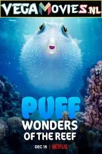 puff wonders of the reef 2021 , TheMoviesFlix - TheMoviesFlix.Digital