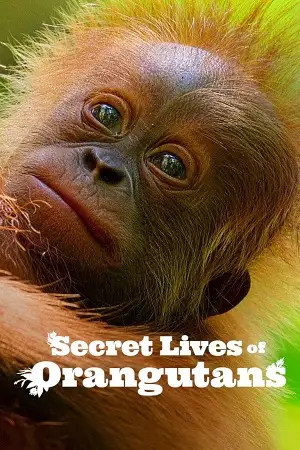 secret lives of orangutans 2024 , TheMoviesFlix - TheMoviesFlix.Digital