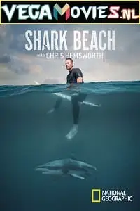 shark beach with chris hemsworth 2021 , TheMoviesFlix - TheMoviesFlix.Digital
