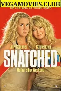 snatched 2017 , TheMoviesFlix - TheMoviesFlix.Digital