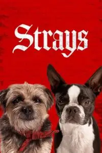 strays 2023 , TheMoviesFlix - TheMoviesFlix.Digital