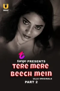 tere mere beech mein 2025 , TheMoviesFlix - TheMoviesFlix.Best