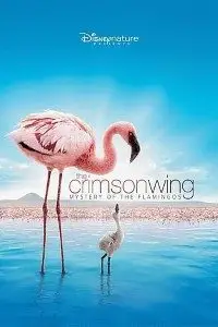 the crimson wing 2008 , TheMoviesFlix - TheMoviesFlix.Digital