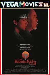 the karate kid part 2 1986 , TheMoviesFlix - TheMoviesFlix.Digital