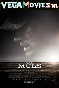 the mule 2018 , TheMoviesFlix - TheMoviesFlix.Digital