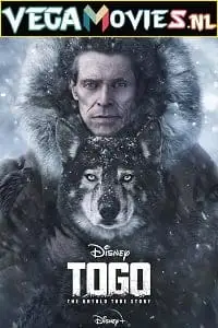 togo 2019 , TheMoviesFlix - TheMoviesFlix.Digital