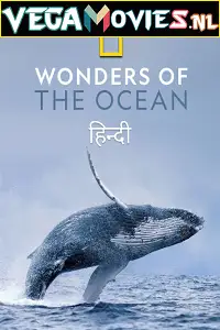 wonders of the ocean 2021 , TheMoviesFlix - TheMoviesFlix.Digital