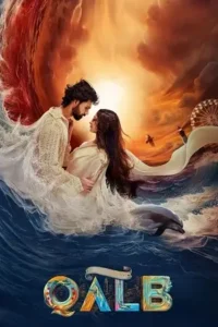 qalb 2024 , MoviesFlix - MoviesFlix.Work