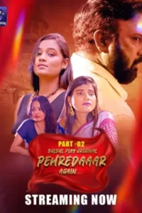 pehredaaar again 2025 , Moviesflix
