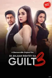 ek anjaan rishtey ka guilt 3 2024 , 3moviesflix