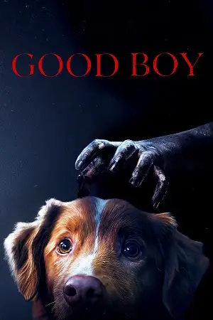 good boy 2025 , moviesflix5